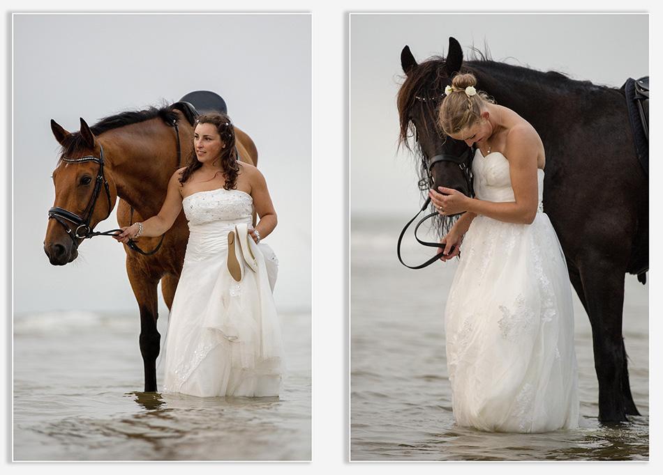 Bruiden bedanken hun paarden op het strand van Noordwijk