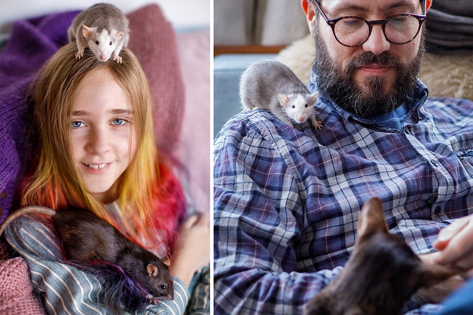 Meisje en haar vader knuffelen met hun ratjes terwijl de kat toekijkt