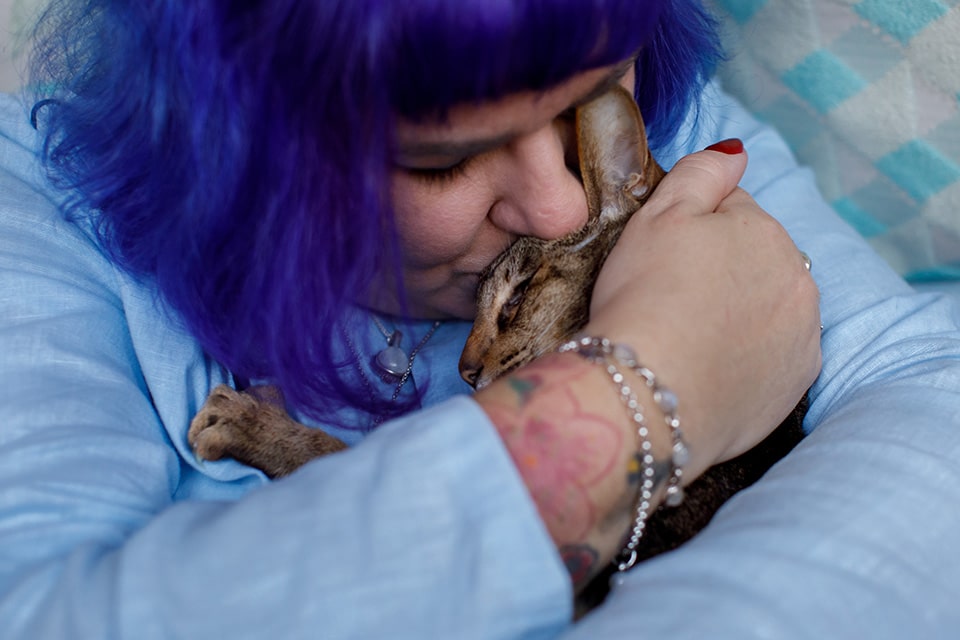 Vrouw met paars haar kust haar kat